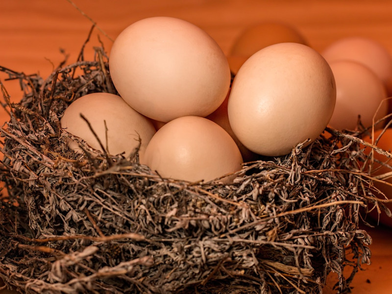 ¿Hay que lavar los huevos antes de guardarlos en la nevera?