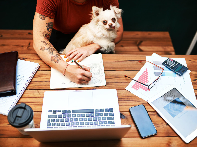 Toma desde un ángulo alto de una empresaria sentada con su perro mascota y escribiendo en su cuaderno