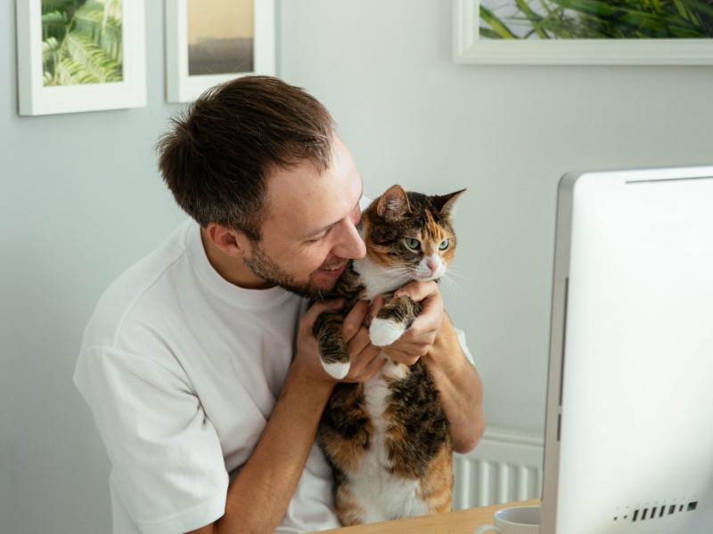 Feliz dueño de mascota, trabajador independiente, jugando con su gato en el lugar de trabajo para aliviar el estrés de los problemas laborales