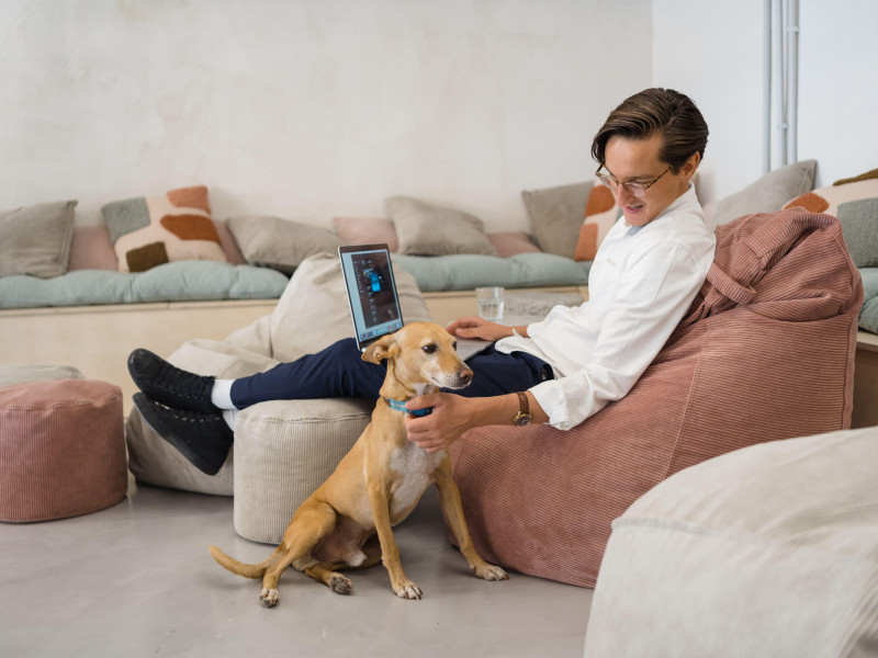 Vista lateral de cuerpo entero de un trabajador masculino navegando en una netbook moderna mientras acaricia a un lindo perro durante el trabajo en una oficina moderna y luminosa