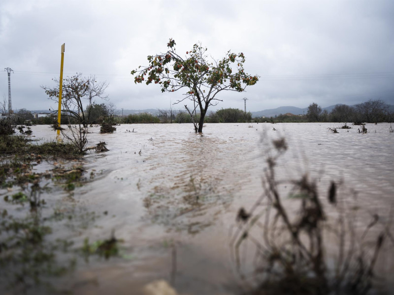 Requena al borde del colapso por las lluvias de la DANA