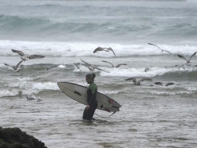 Un surfista, rodeado de gaviotas en la playa de San Lorenzo de Gijón