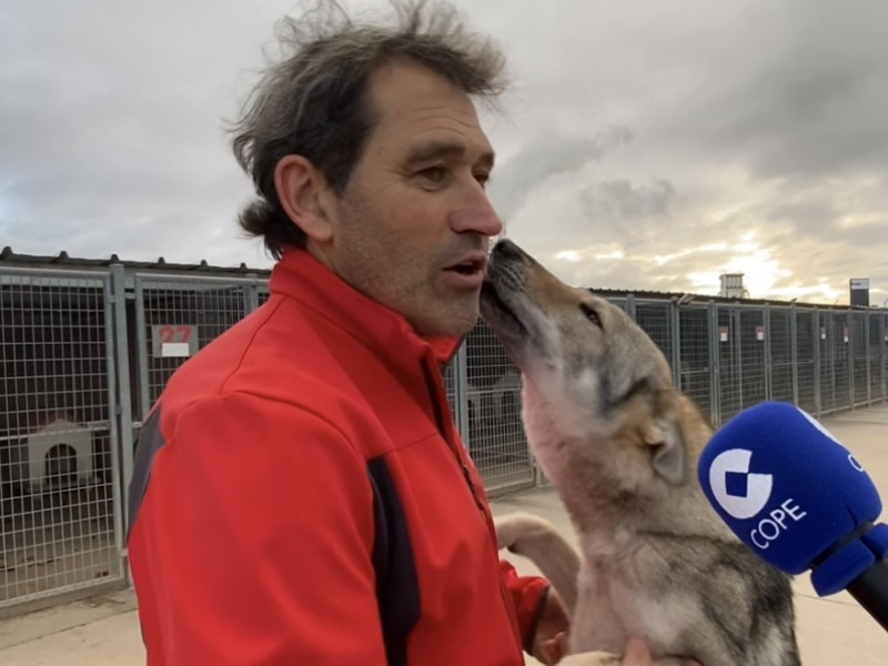 Luis Miguel Ramos, junto a uno de sus lobos