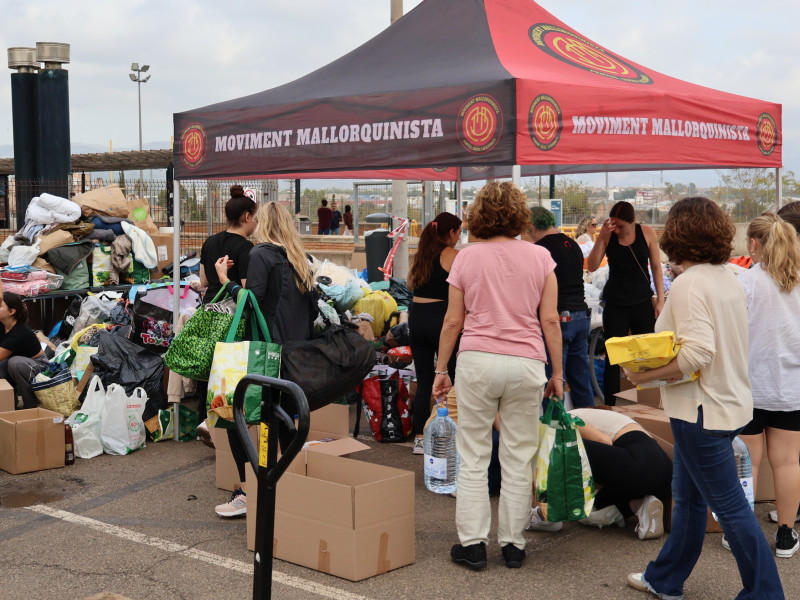 Seguidores del Real Mallorca, durante la recogida del Moviment Mallorquinista