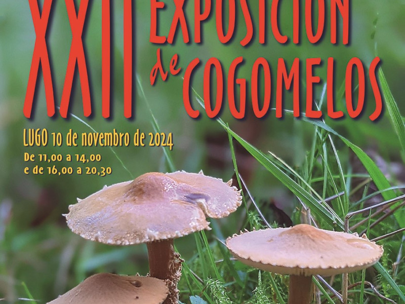 Cartel de la XXII Exposición de Cogomelos