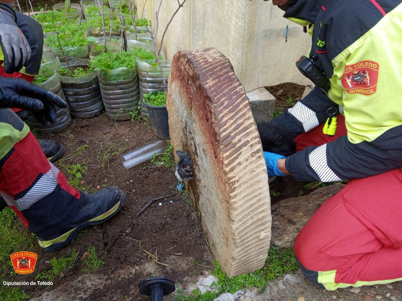 Bomberos salvando un gato