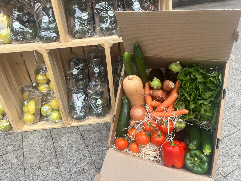 Productos ecológicos