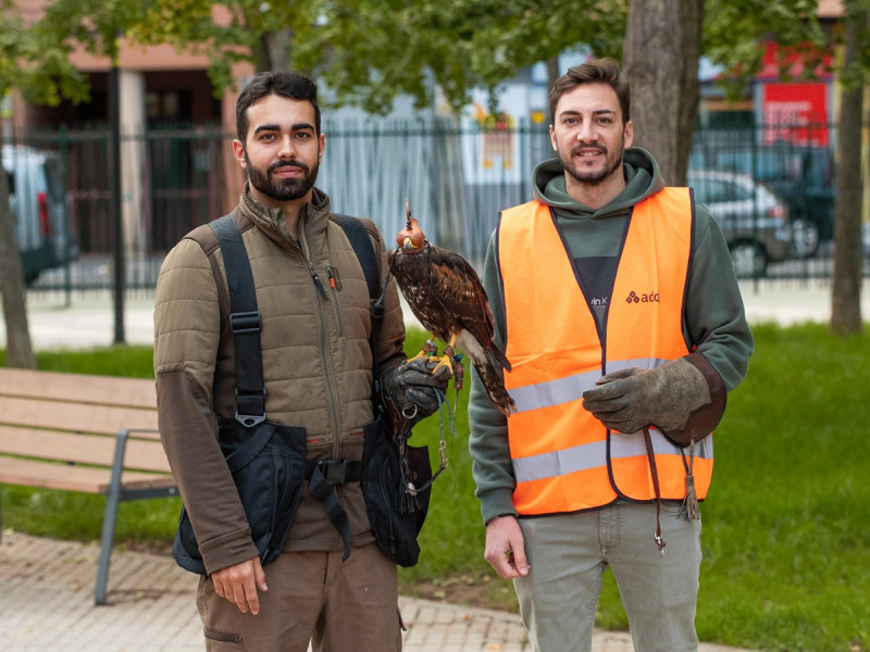 El equipo de cetrería encargado del trabajo