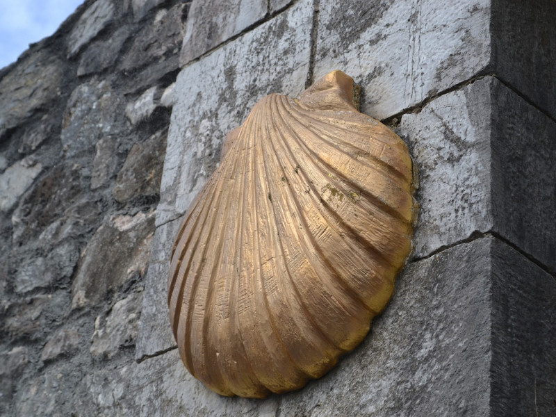 Concha de peregrinación