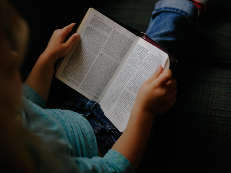 Libros lectura