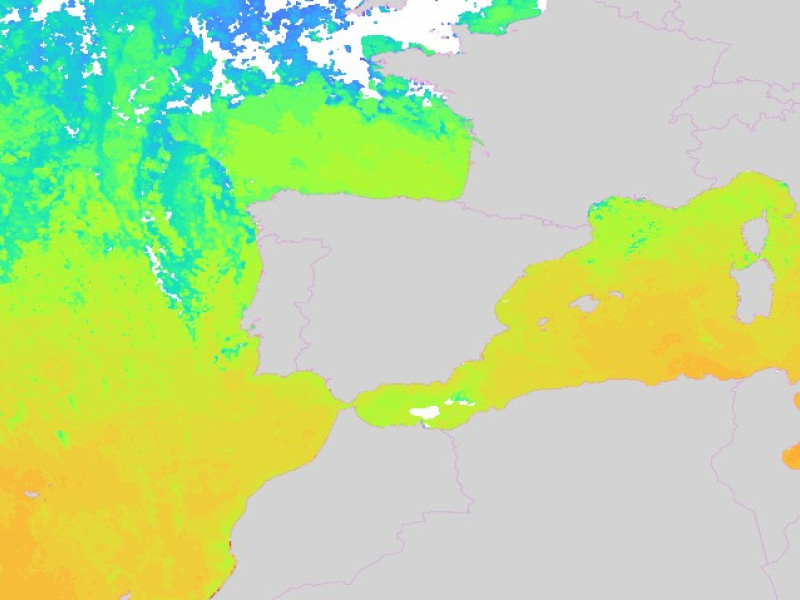 Temperatura del agua