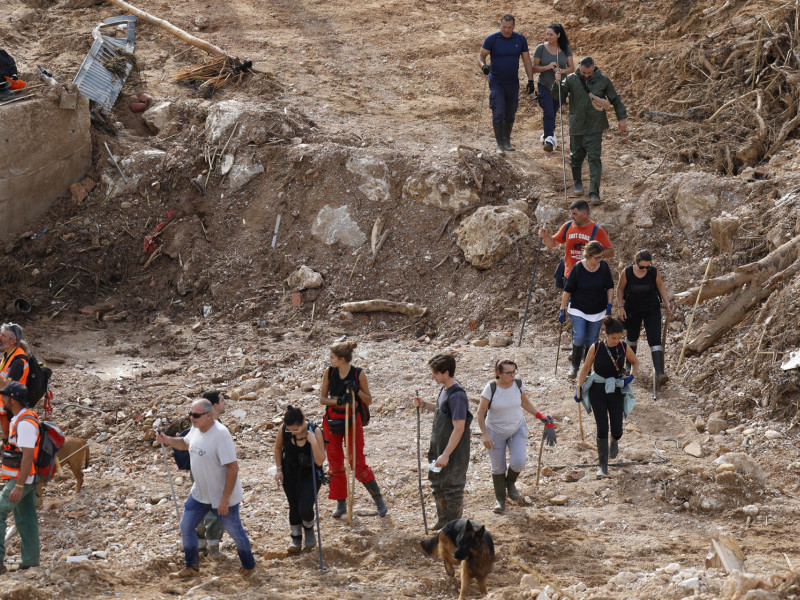 Voluntarios trabajan en el pantano de Torrent