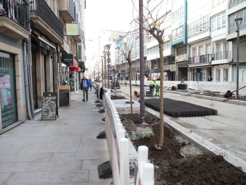 Nuevos árboles de San Andrés