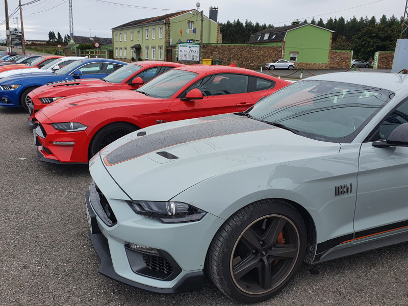 Mustang en Ribadeo