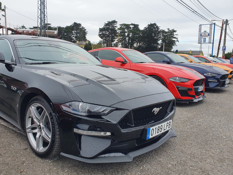 Mustang en Ribadeo