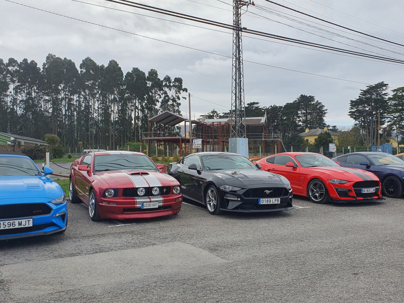 Mustang en Ribadeo