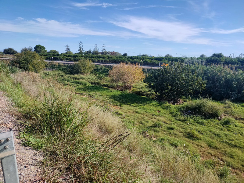 Río Seco en Castellón de la Plana