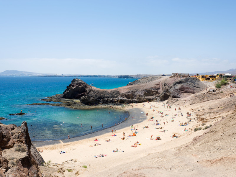 Las Islas Canarias son un gran destino para estudiar Ciencias del Mar