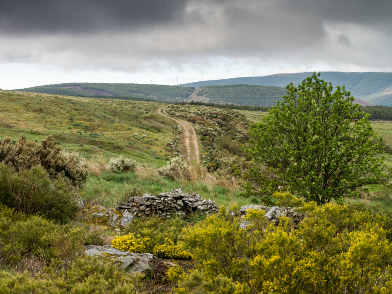 La naturaleza de la zona es un atractivo a tener en cuenta