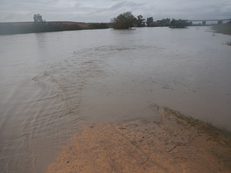 El rio Guadiana a su paso por la SE-40, a 31 de octubre de 2024, en Sevilla