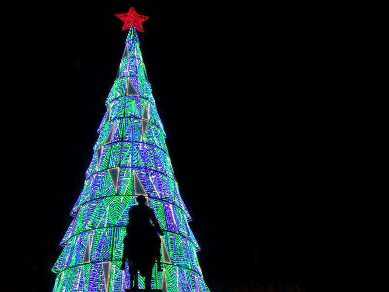 Silueta de la estatua ecuestre de Carlos III en la Puerta del Sol sobre el fondo de un árbol de Navidad iluminado en Madrid, España