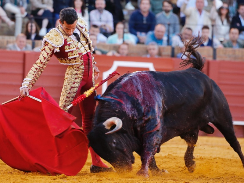 David de Miranda y el toro "Tabarro" en Sevilla