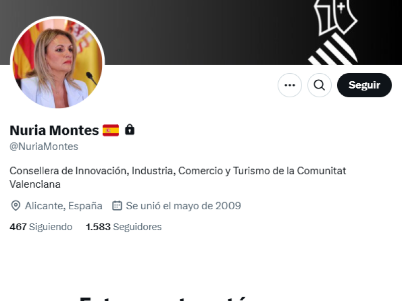 Perfil de Nuria Montes en X