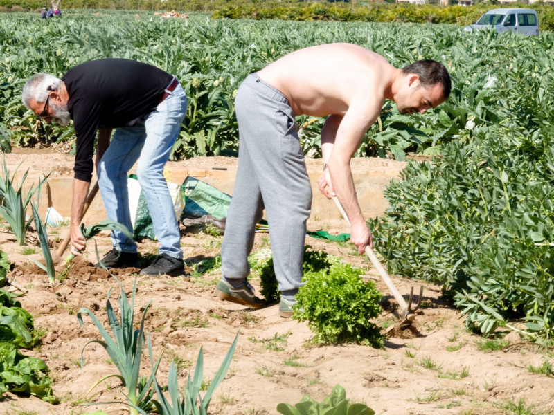 Pequeños agricultores Europa agricultura España