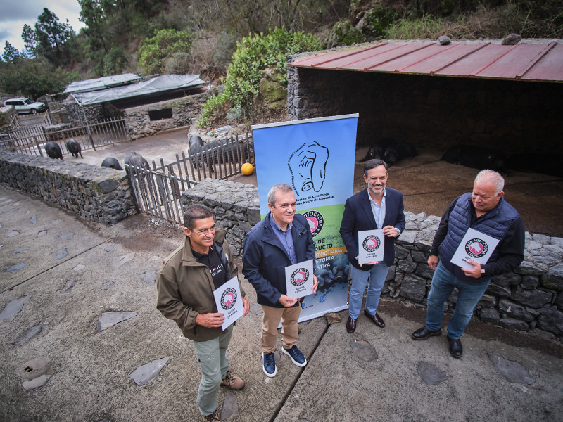 Presentación de la marca cochino negro canario