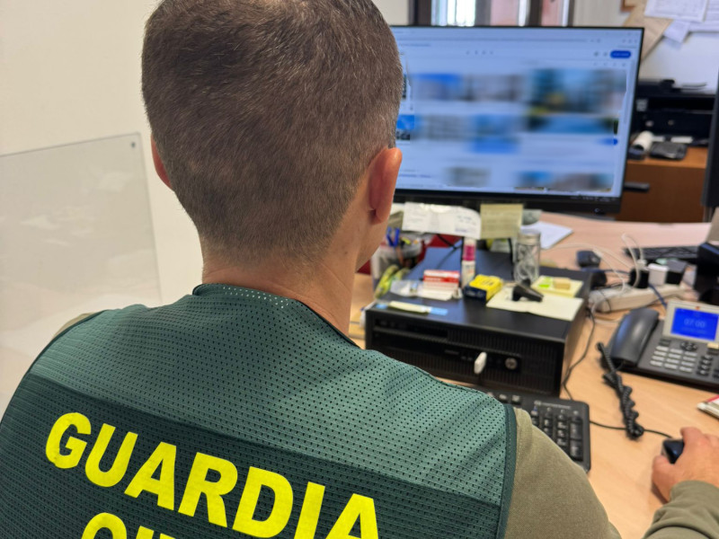 La investigación ha sido llevada a cabo por el Equipo Roca de la Guardia Civil de Guadalajara