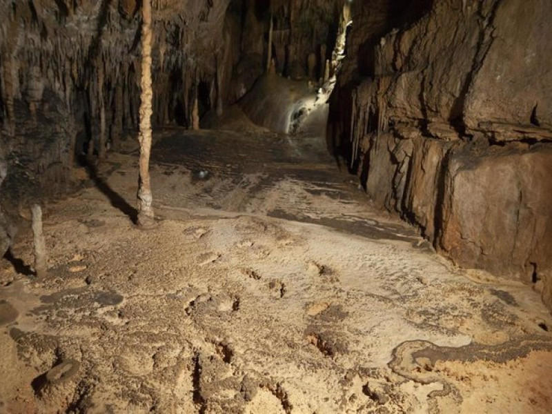 Cueva la Garma