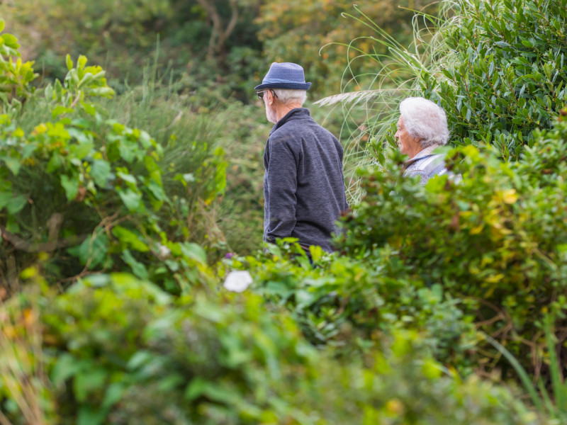 Una pareja de ancianos paseando por un parque en otoño en el Reino Unido