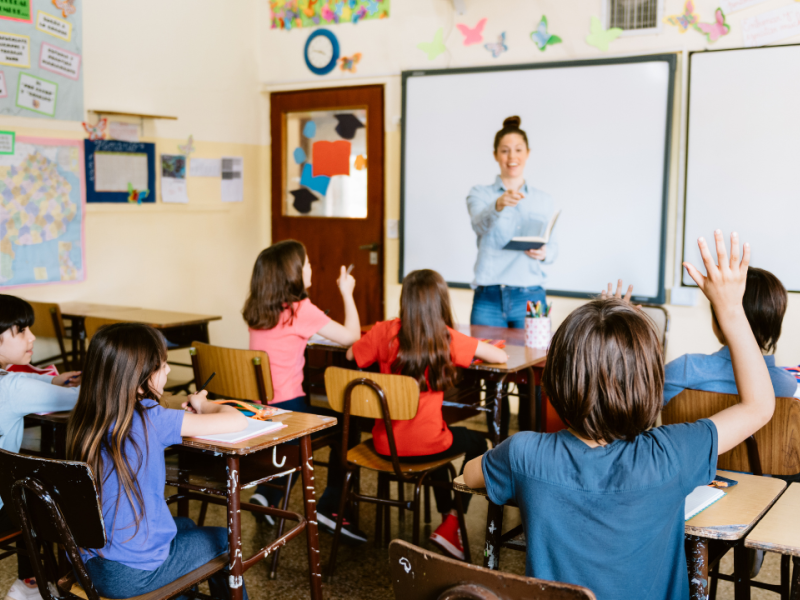 Educación primaria