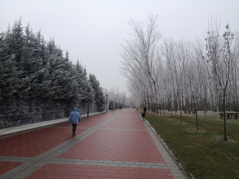 Frío y niebla en Valladolid