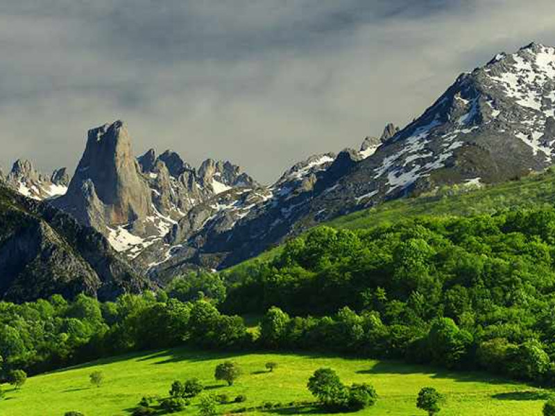 Naranjo de Bulnes, Picos de Europa