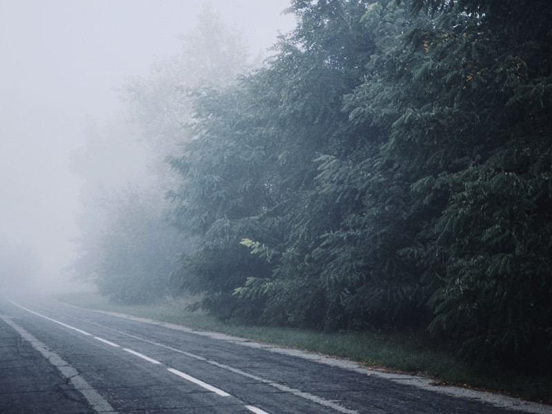 Carretera con niebla