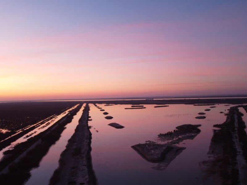 Estero en las Marismas de Trebujena