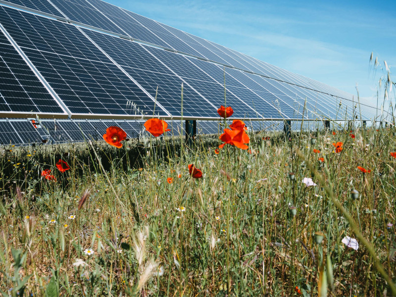 Energía solar