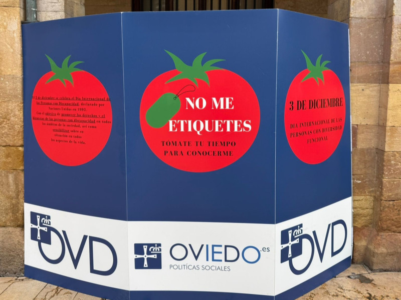 Dia Internacional de las Personas con Discapacidad en Oviedo