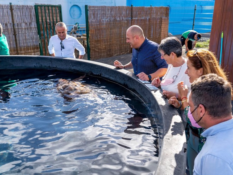 Cabildo de Fuerteventura por el Centro de Conservación y Recuperación de Tortuga Boba