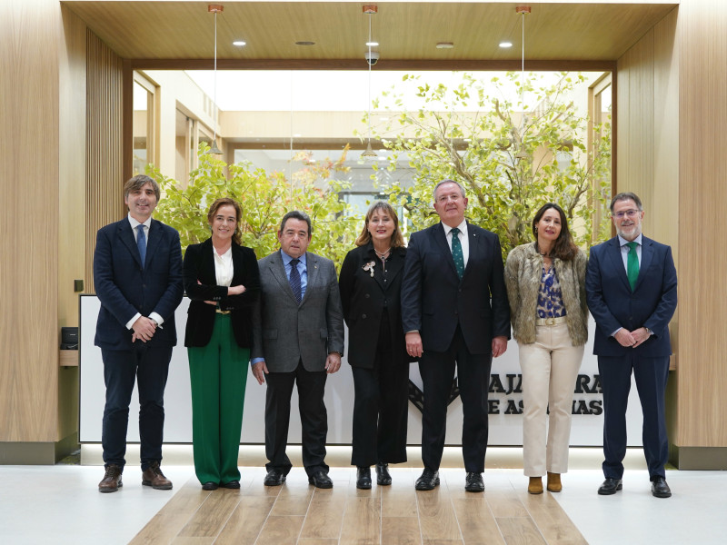 Alfonso Palacio, Verónica Durán, Fernando Martínez, Ana Fernández,  Antonio Romero, Yolanda de la Roca y Pedro García