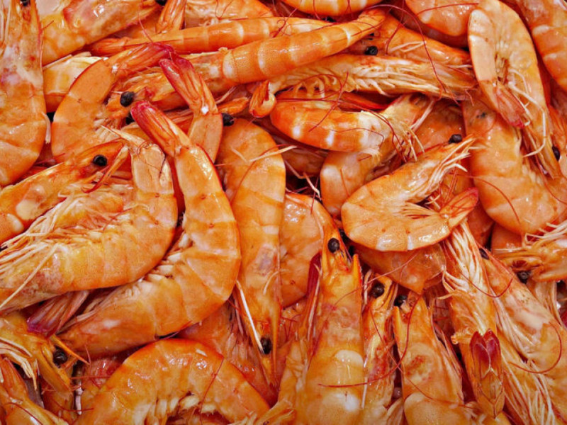 Gamba, ingrediente fundamental para tu fumet