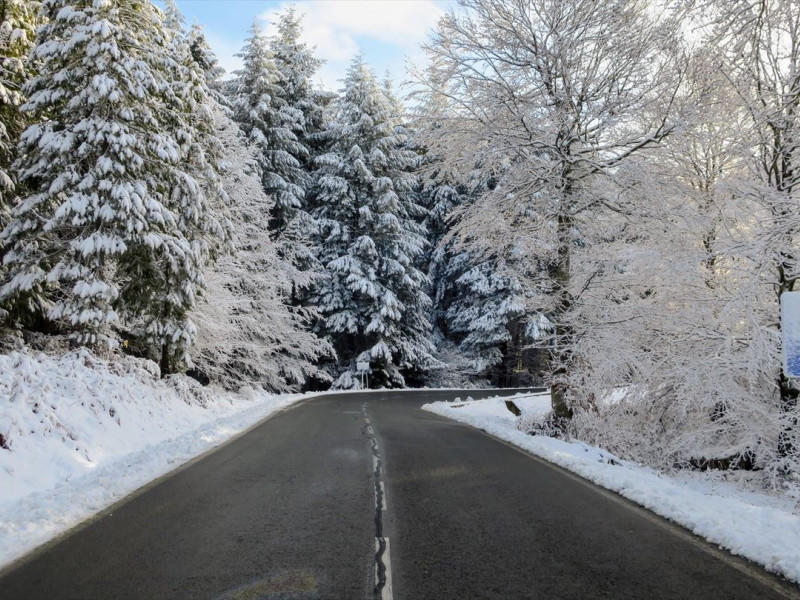 Nieve para el sábado