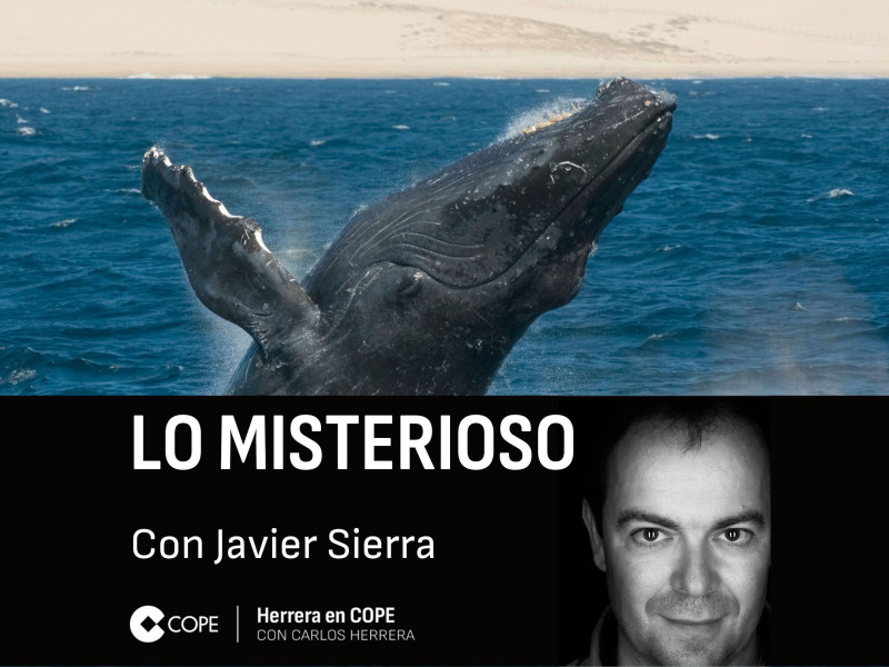 Javier Sierra, sobre la comunicación con las ballenas, en 'Lo Misterioso'