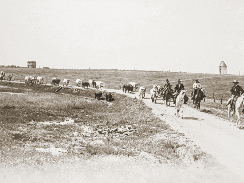 Una de las fotografías que publica ‘Memorias del campo bravo: 1860-1960, cien años de fotografía inédita’