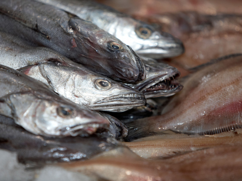 Montón de filetes enteros de merluza y platija en el puesto de pescado fresco de una pescadería en un mercado interior