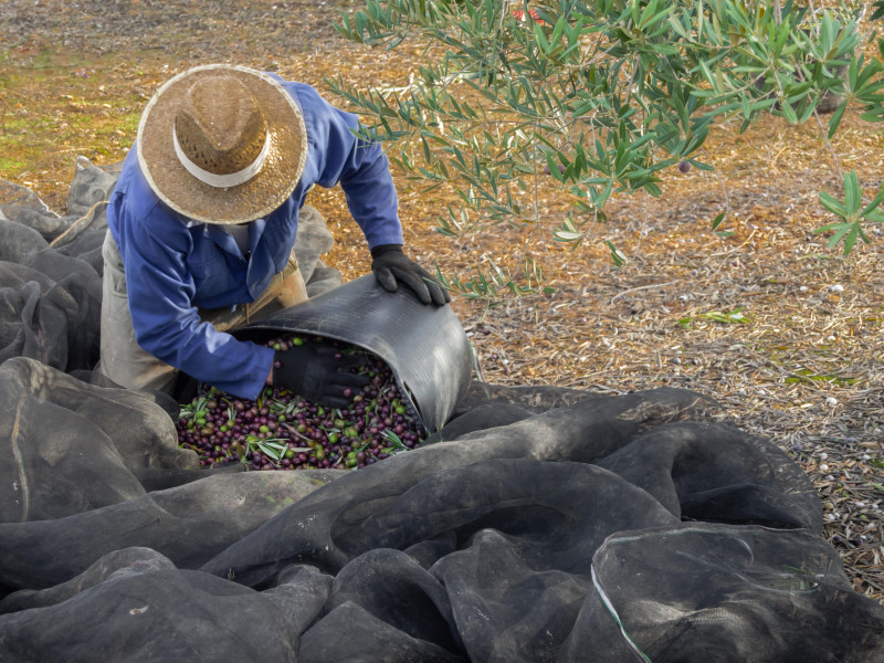 Hombre trabajando