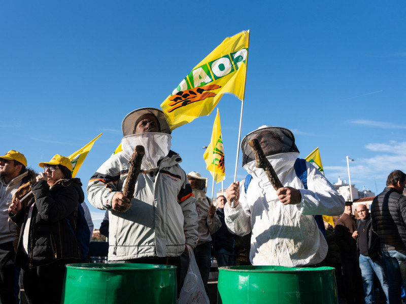 Apicultores durante una protesta de agricultores y ganaderos frente al Ministerio de Agricultura