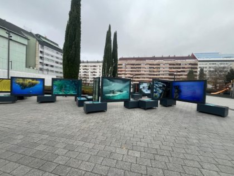 Exposición Colores del Mundo
