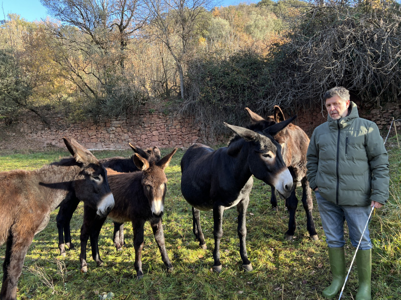 La especie autóctona catalana es representativa de una época de subsistencia